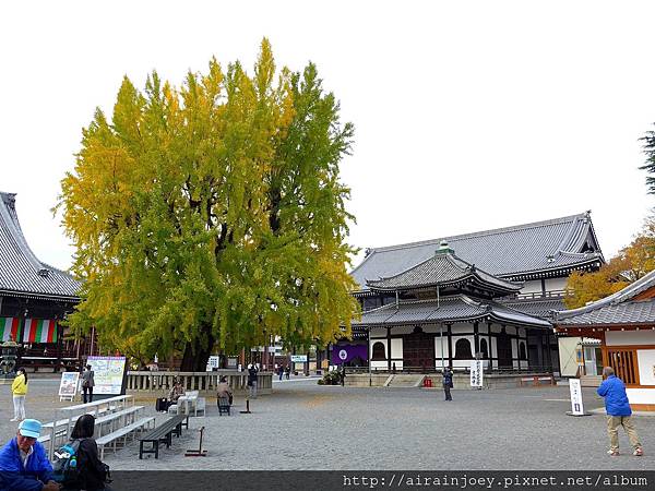 D02-323-西本願寺.jpg