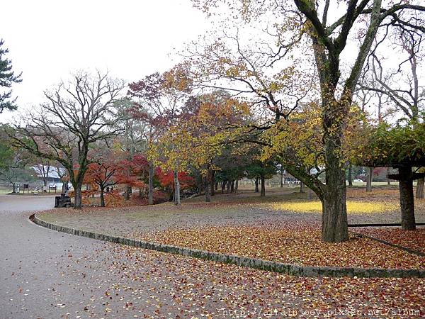 D03-034-奈良公園.jpg