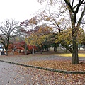 D03-034-奈良公園.jpg