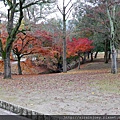 D03-036-奈良公園.jpg