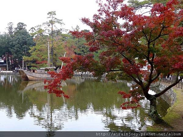 D03-147-東大寺.jpg