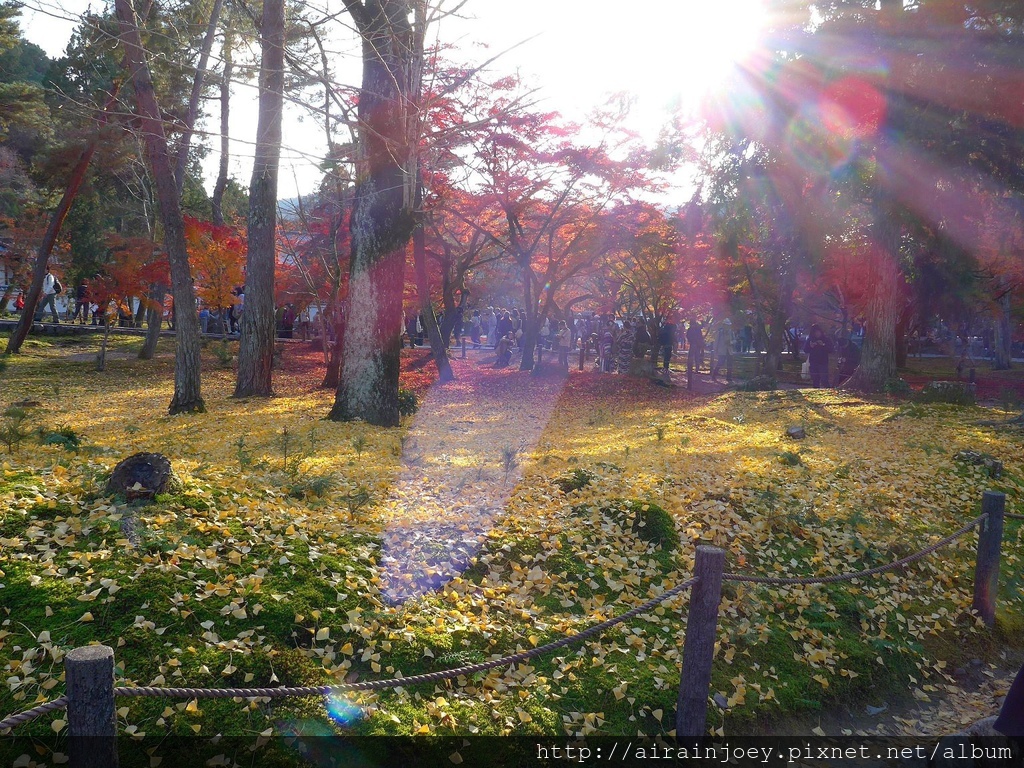 D04-396-南禪寺.jpg