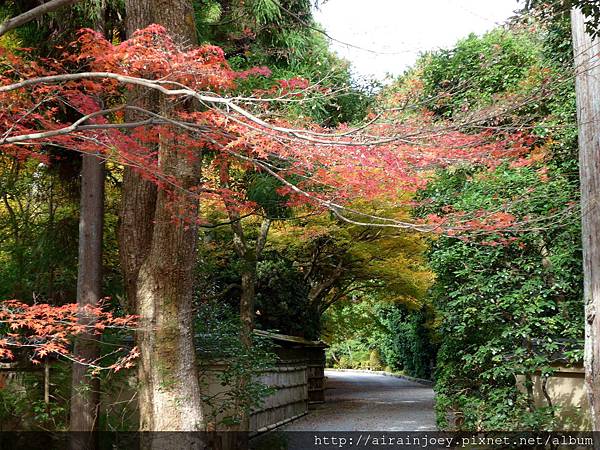 D05-141-龍安寺.jpg