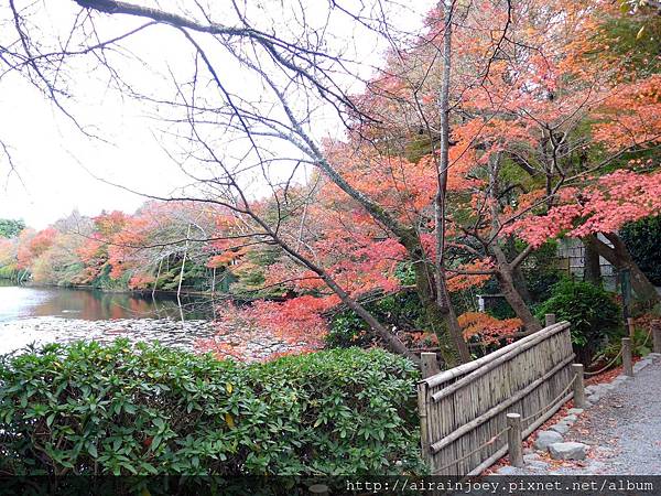 D05-186-龍安寺.jpg