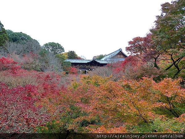 D06-008-東福寺.jpg