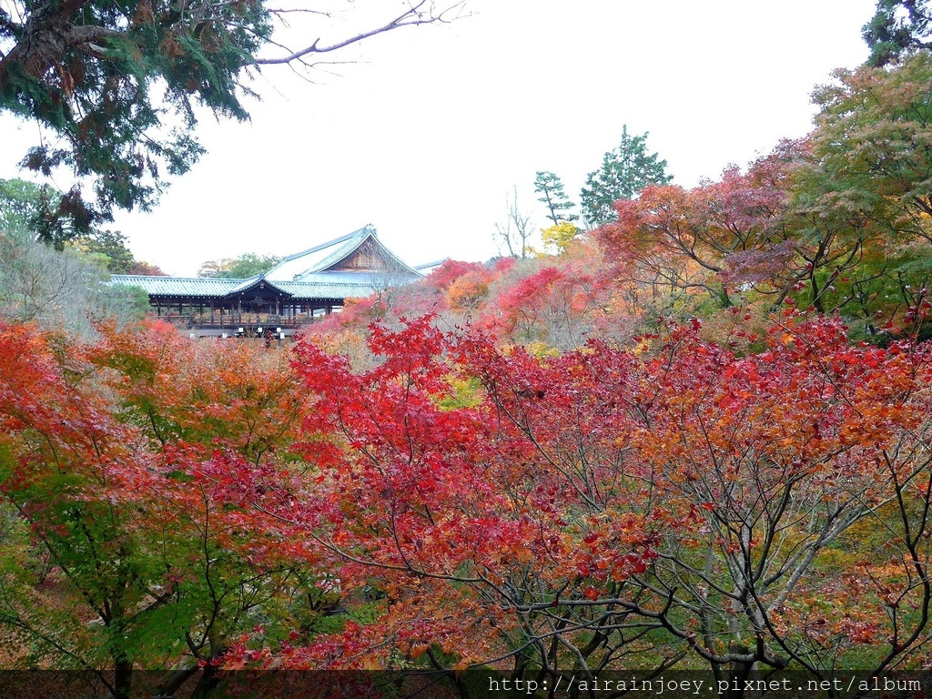 D06-007-東福寺.jpg