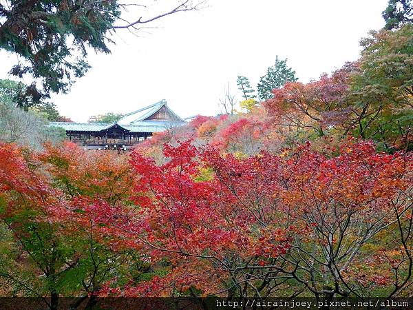 D06-007-東福寺.jpg