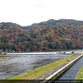 D07-069-渡月橋.jpg