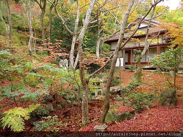 D07-205-常寂光寺.jpg