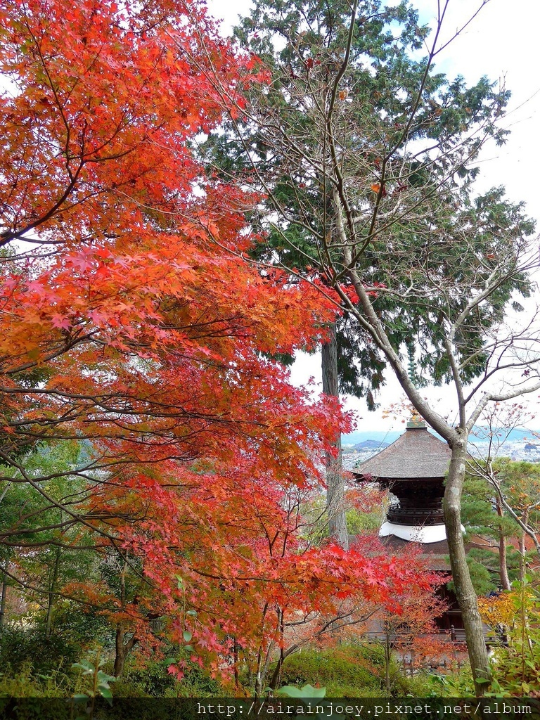 D07-230-常寂光寺.jpg