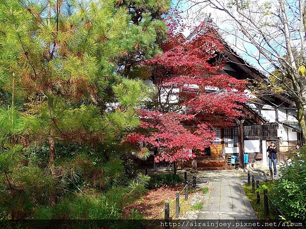 D07-319-清涼寺.jpg