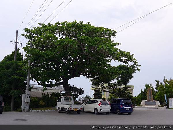 D03-075 備瀨福木林道.jpg