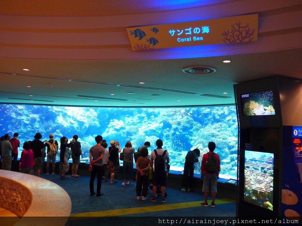 D03-189 美麗海水族館.jpg