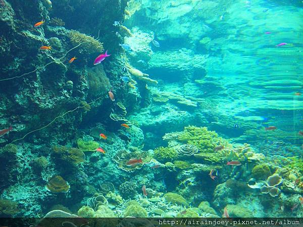 D03-192 美麗海水族館.jpg