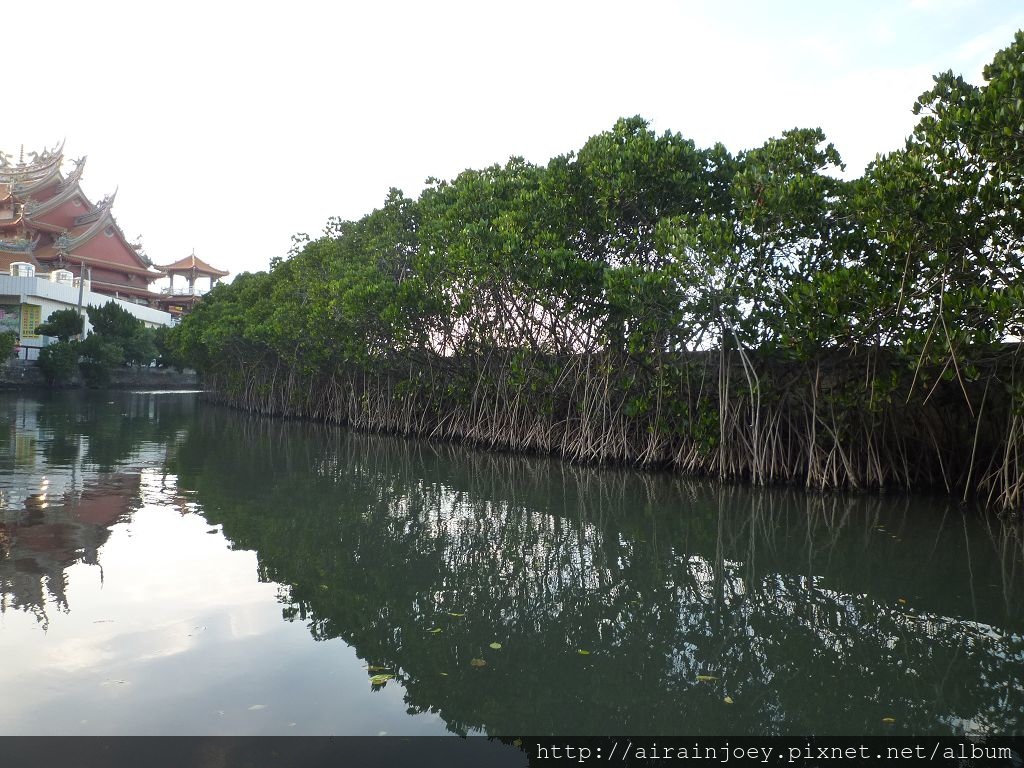 台南-四草綠色隧道01.jpg