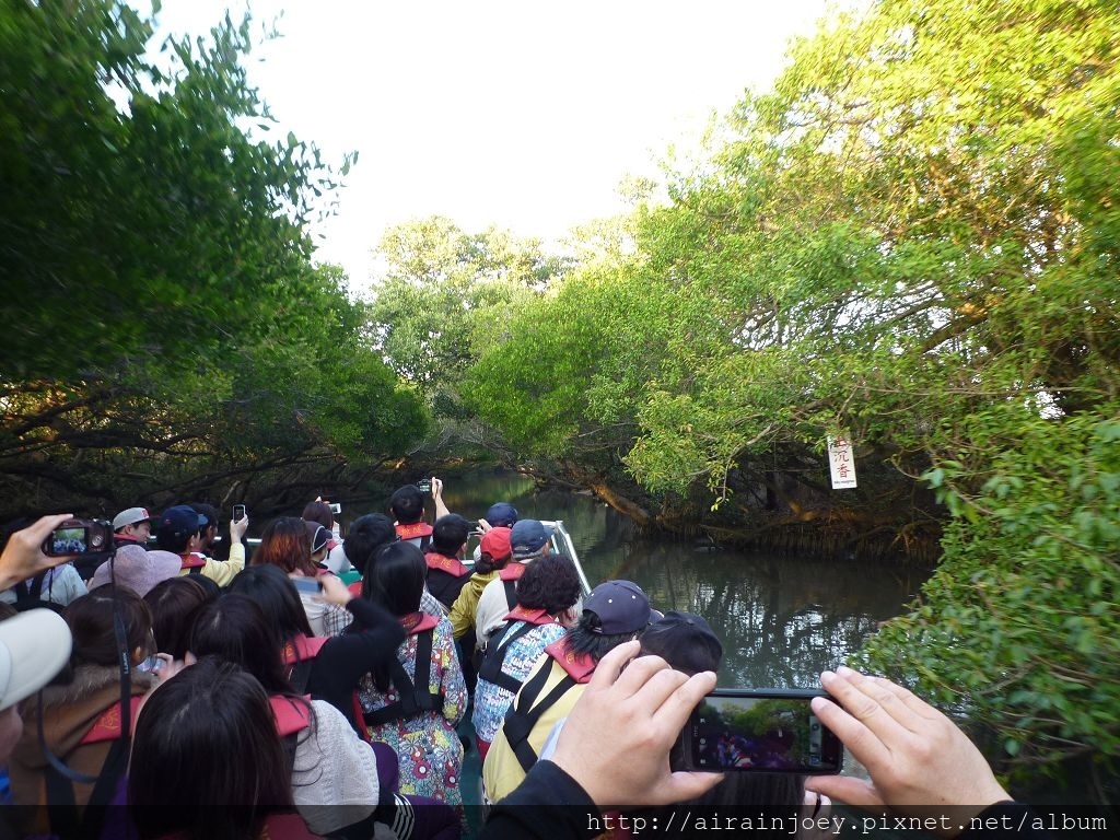 台南-四草綠色隧道06.jpg