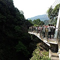 桃園-小烏來天空步道02.jpg