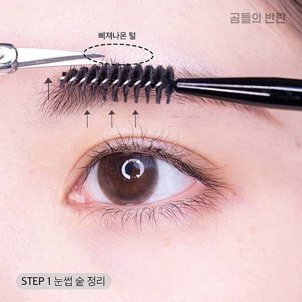 500_28572762_1528101465.jpeg 500_28572762_1528101465.jpeg