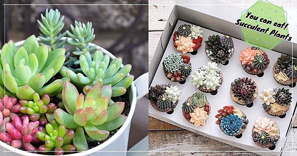 刊頭.jpg 刊頭.jpg