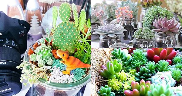 page003.jpg page003.jpg