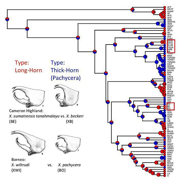 tree_empirical tree_empirical