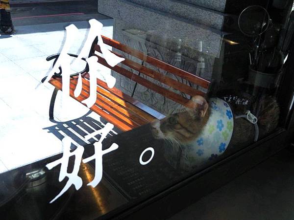nEO_IMG_IMG_1554.jpg nEO_IMG_IMG_1554.jpg