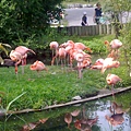 Toronto Zoo 2