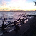 Toronto Island 2