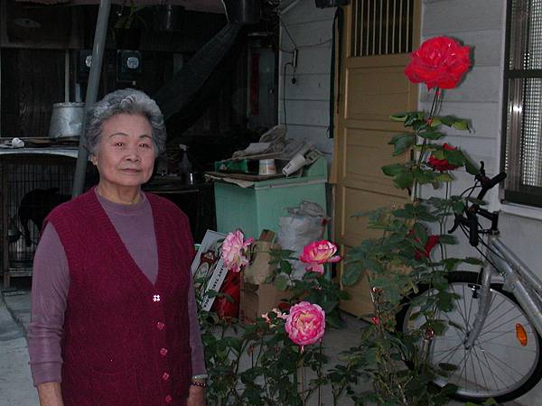 奶奶出品的玫瑰花