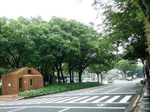 P6190561.JPG
