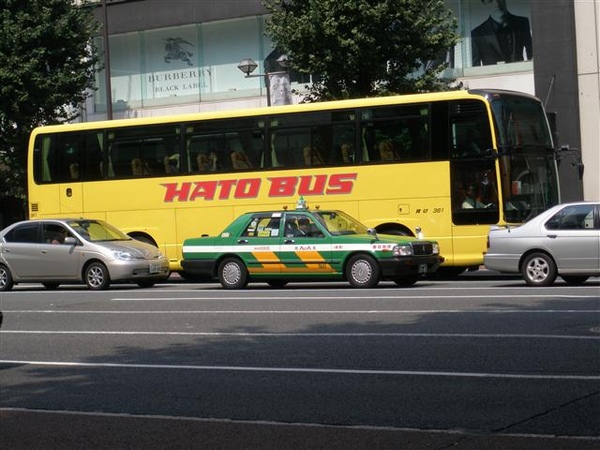 (五)專門市區路線公車