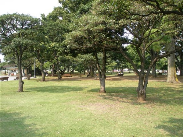 (五)皇居外環