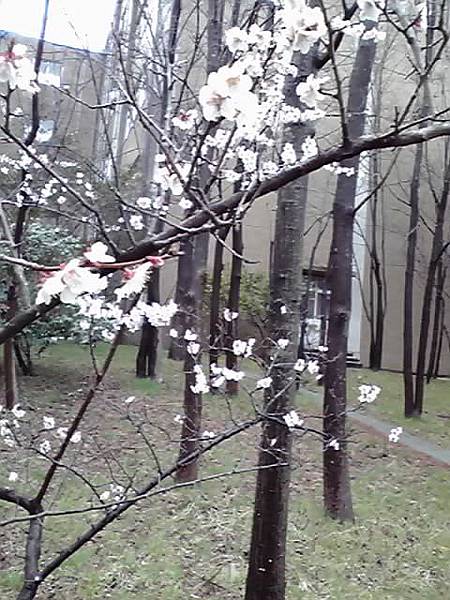 P1000007.JPG