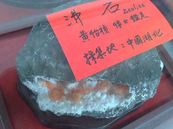 201008094115.jpg
