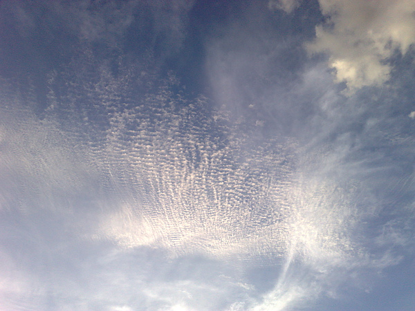 201006213417.jpg
