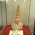 201008094081.jpg
