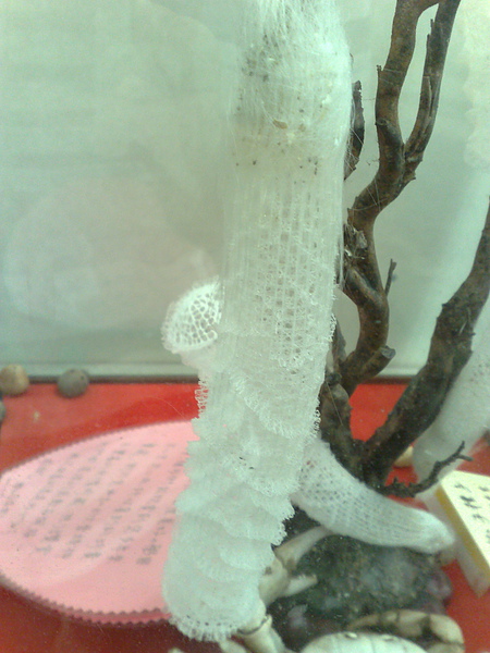 201008094103.jpg