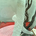 201008094103.jpg