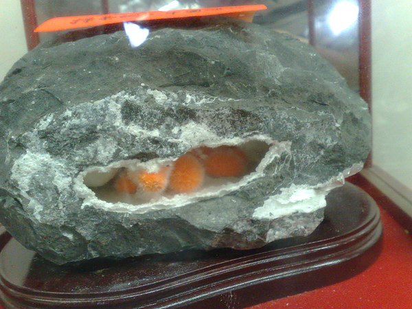 201008094114.jpg