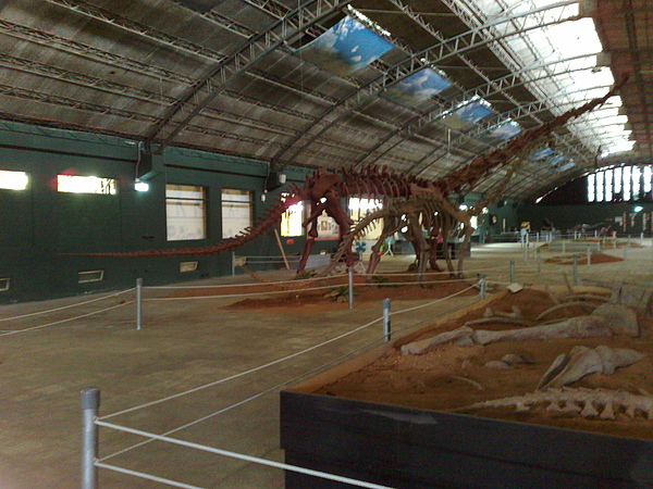 201008094090.jpg