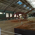 201008094090.jpg