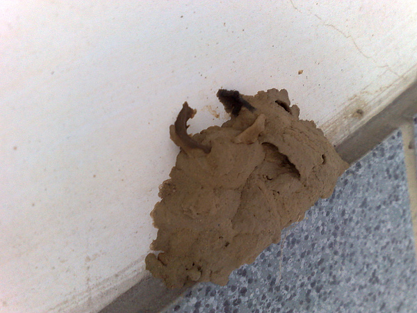 201007053545.jpg