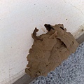 201007053545.jpg