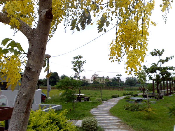 201006042992.jpg
