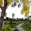 201006042992.jpg