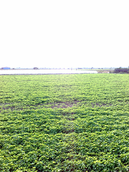 201006213411.jpg