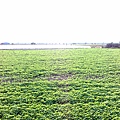 201006213411.jpg