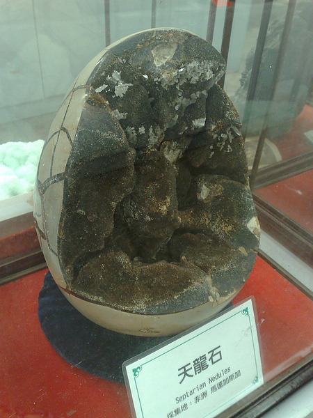 201008094107.jpg