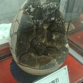 201008094107.jpg