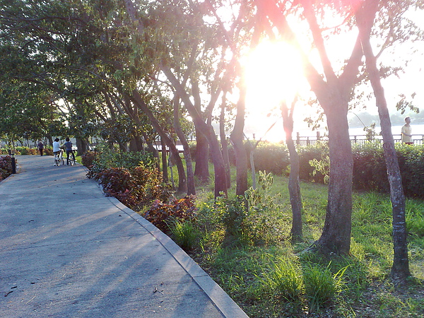 201006063040.jpg